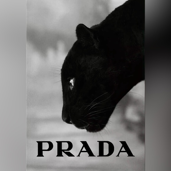 Fashion Brand Posters Black & White Wall Art Poster Print Gallery Wall Picture - Picture 4 of 16